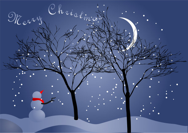 冬夜的天空和雪人图片下载