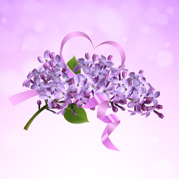 有粉色缎带的丁香枝图片下载