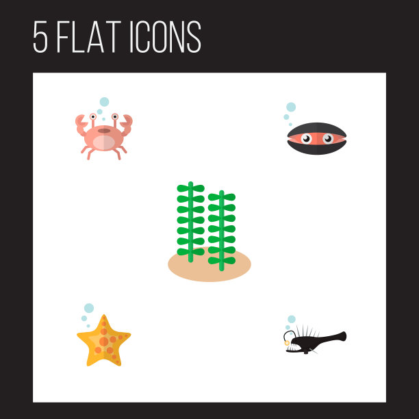 图标平海的贝壳蟹琵琶鱼集图片下载