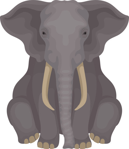 非洲大草原象孤立地坐在白色上图片下载