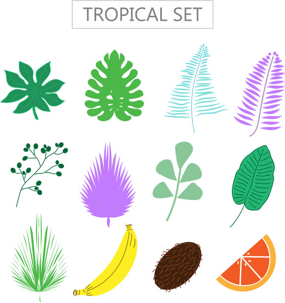 设置热带树叶和水果图标图片下载