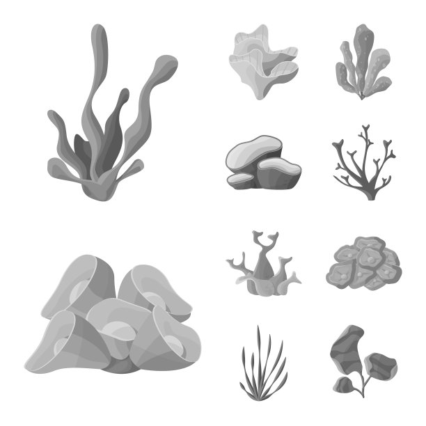 设计植物和植物图标集图片下载