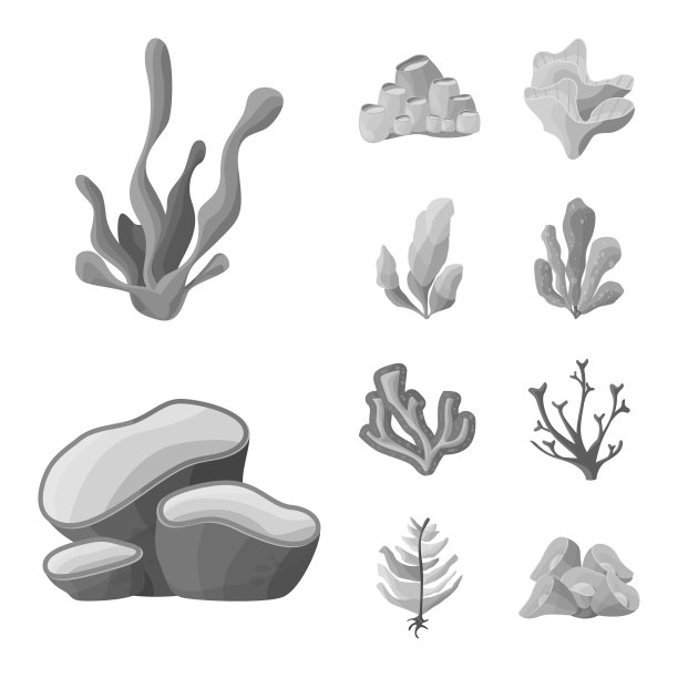 设计植物和植物标志集图片下载