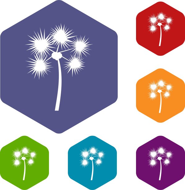 多刺的热带棕榈树图标集图片下载