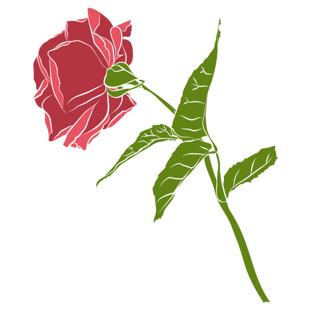 美丽的手绘蜡笔玫瑰孤立上图片下载