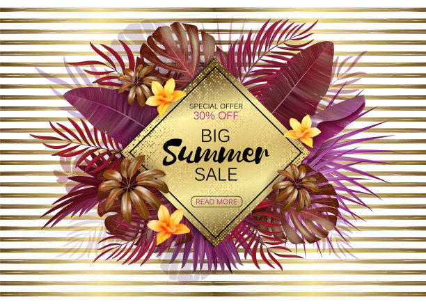 夏季销售背景有异国情调的树叶和图片下载