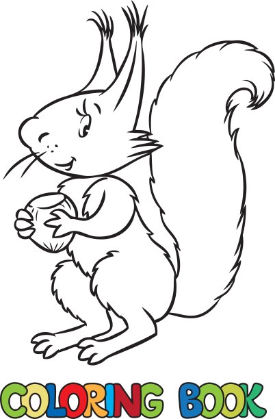 有趣的小松鼠的涂色书图片下载