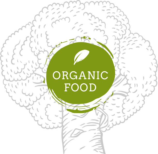 手工绘制西兰花新鲜天然生态食品标签图片下载