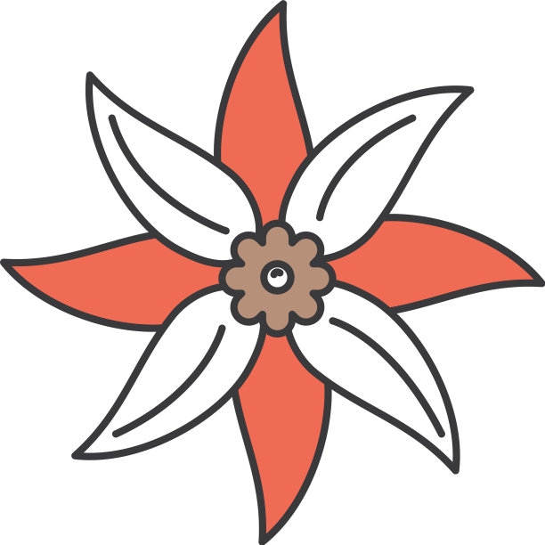 可爱的花朵水疗图标图片下载