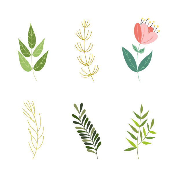 平面抽象的绿色植物图标图片下载