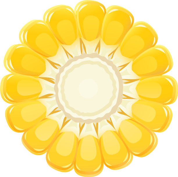 玉米芯是有机食品图片下载