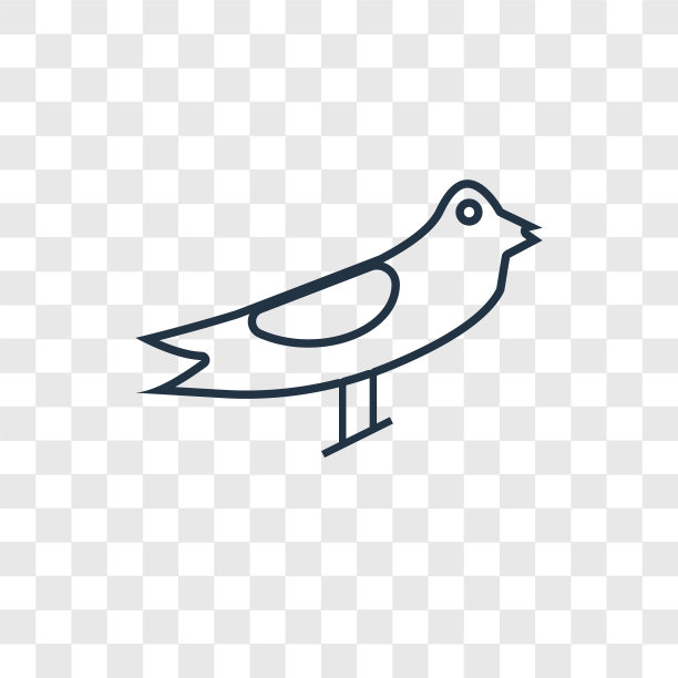 海鸥概念线性图标孤立上图片下载