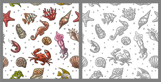 无缝图案海贝、珊瑚、墨鱼图片下载