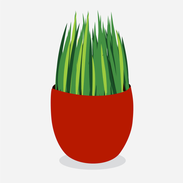 手绘室内植物的图片下载