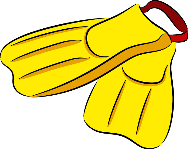 潜水用的鳍或脚蹼图片下载