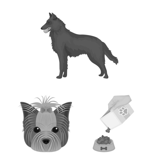 宠物单色图标在集合设计图片下载