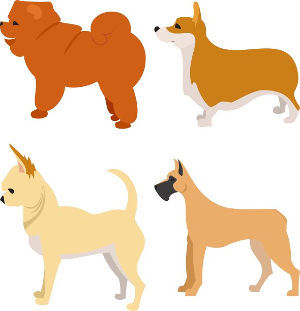 一组纯种狗图片下载