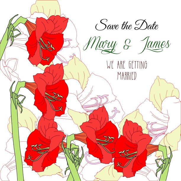 背景与五红色的孤挺花图片下载