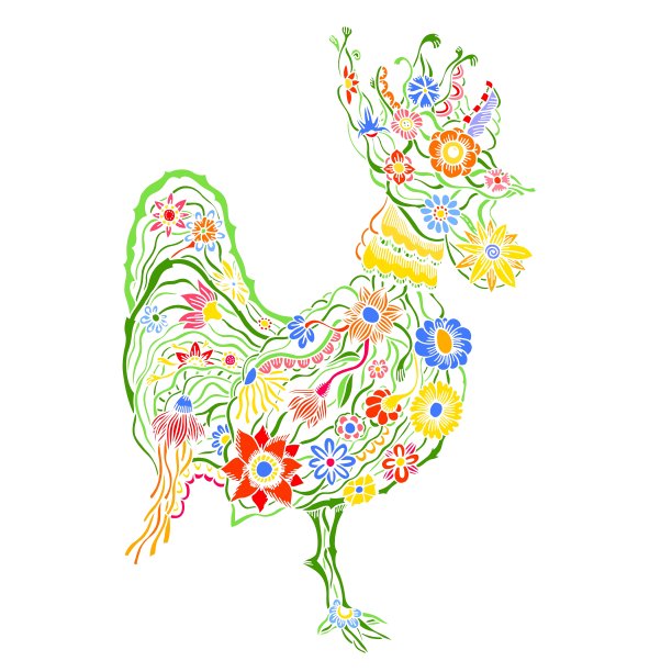 花华丽的公鸡图片下载