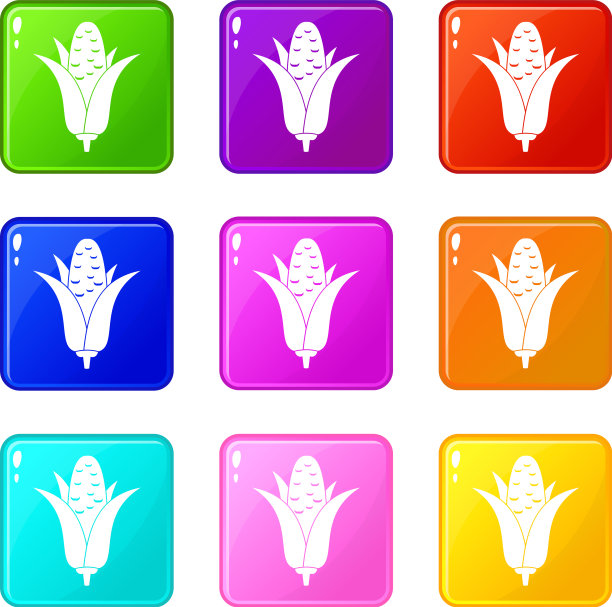 玉米穗轴图标9集图片下载