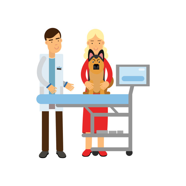 兽医在兽医诊所检查牧羊犬图片下载