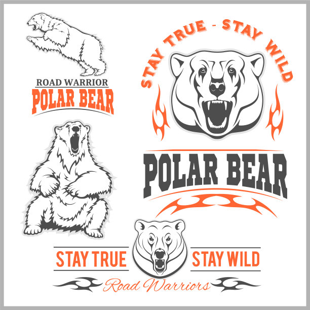 北极熊-集图片下载