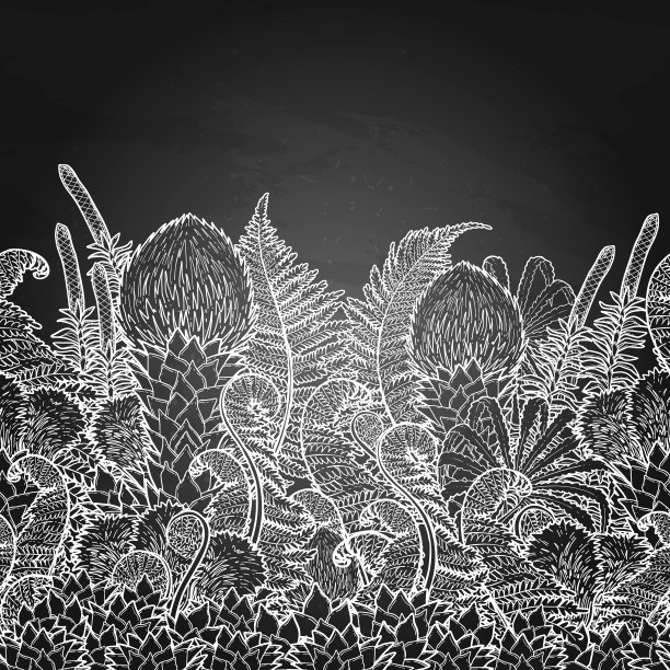 图形史前植物图片下载