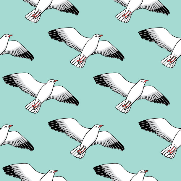 无缝模式与海鸥图片下载