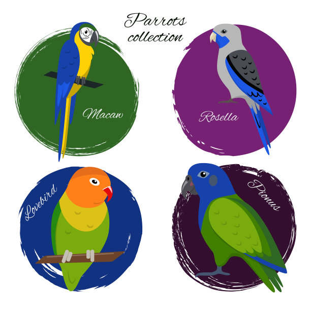 彩色鹦鹉图标集图片下载