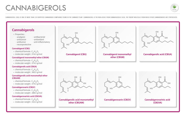 大麻水平商业信息图中的大麻酚CBG结构公式图片下载