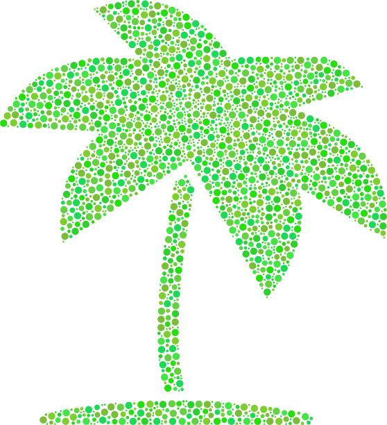 岛上热带棕榈树组成小圆圈图片下载