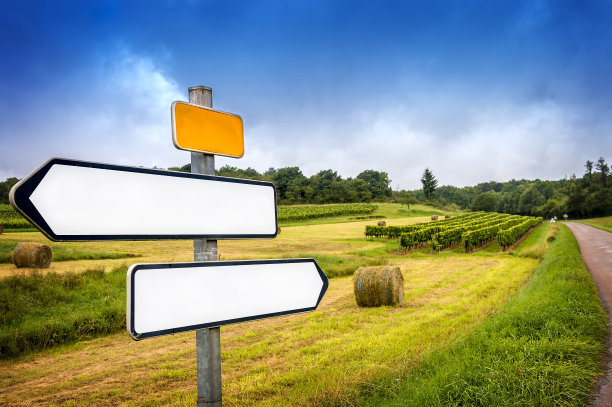 勃艮第。通往顶级勃艮第葡萄园的法国乡村道路标志。法国图片下载