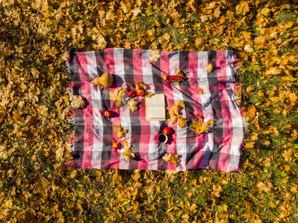 公园里的秋天图片下载