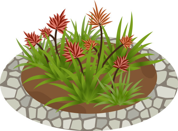 热带园林花卉用于园林景观或图片下载