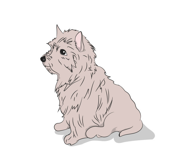 狗坐行图片下载