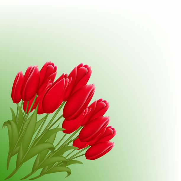 一束郁金香带着逼真的春天花朵图片下载