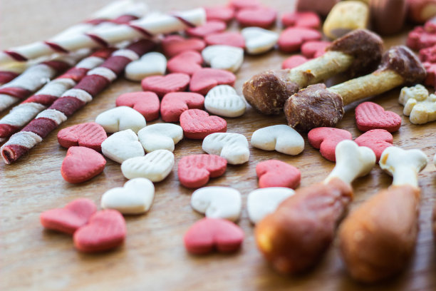 狗狗美味的彩色饼干，狗狗的零食图片下载