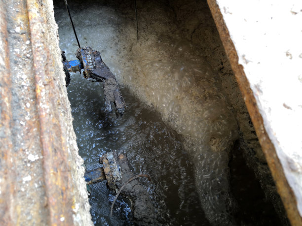 污水处理系统，废物稳定池，液柱中氧浓度变化:靠近表面，浓度高，支持好氧生物的生长。图片下载