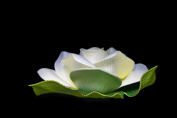白色人造荷花图片下载