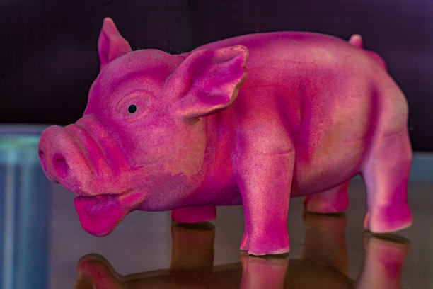 粉色幸运猪狗玩具图片下载