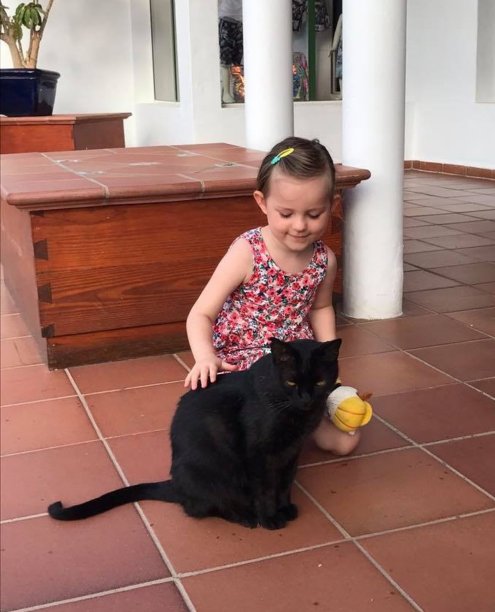 抚摸黑猫的三岁女孩图片下载