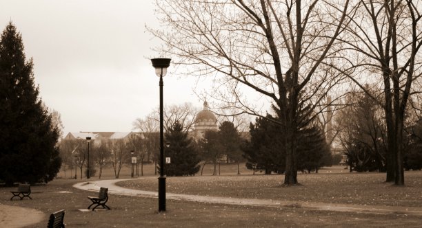 在公园里放松的一天图片下载