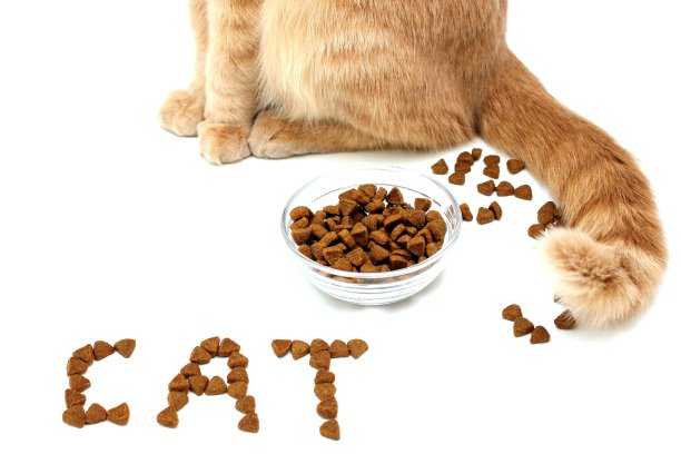 用猫粮拼成的猫咪图案：红猫在猫粮碗旁图片下载