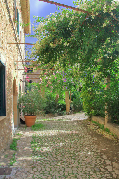 西班牙省的绿色花圃。图片下载