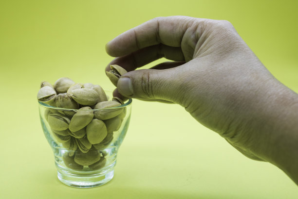 用这只手展示开心果的人图片下载