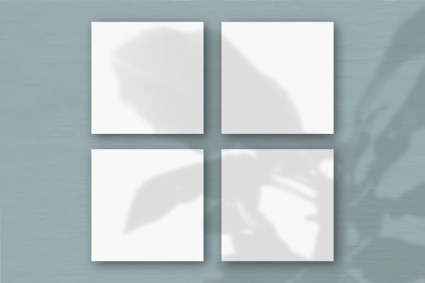 4张方形的白色纹理纸在蓝色的墙壁背景上。模型覆盖的植物阴影。自然光在外来植物上投下阴影。平躺，俯视图图片下载