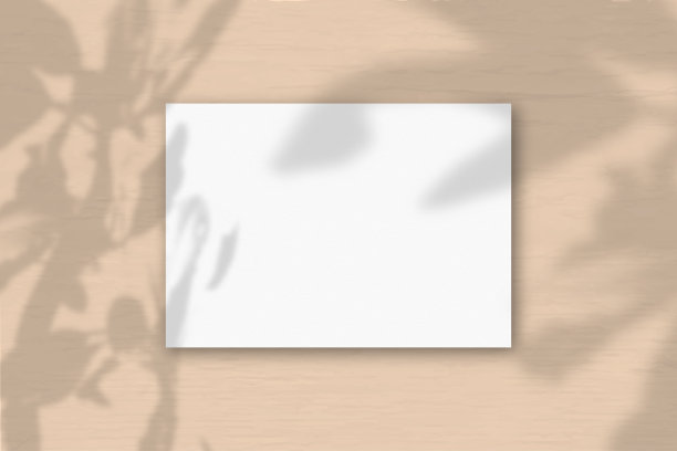 一张水平的A4纸白色纹理纸在橙色的墙壁背景。模型覆盖的植物阴影。自然光在外来植物上投下阴影。水平方向图片下载