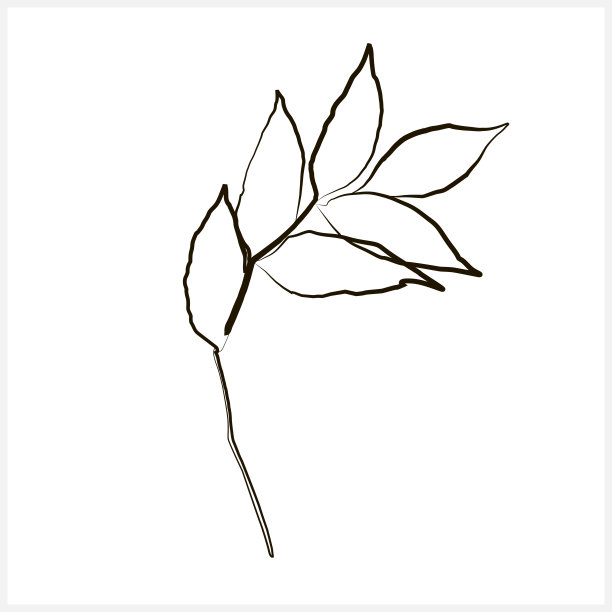 装饰性的分支。图片下载