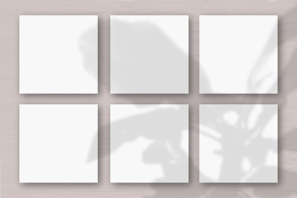 6张方形的白色纹理纸在粉灰色的墙壁背景上。模型覆盖的植物阴影。自然光在外来植物上投下阴影。平躺，俯视图图片下载