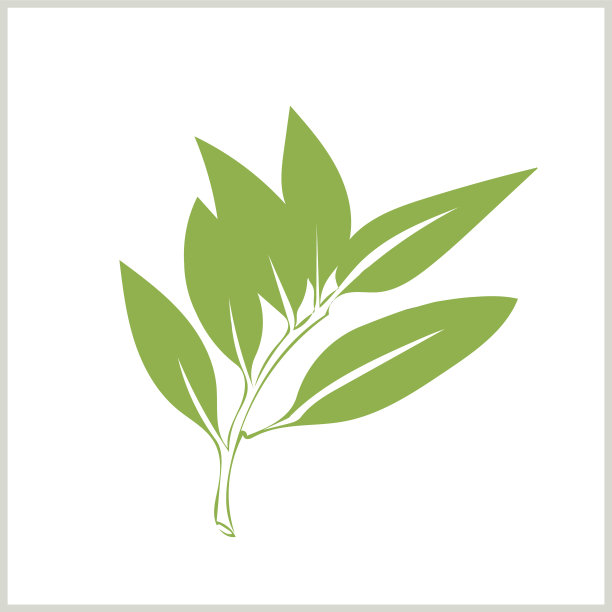 树枝的装饰图案。图片下载